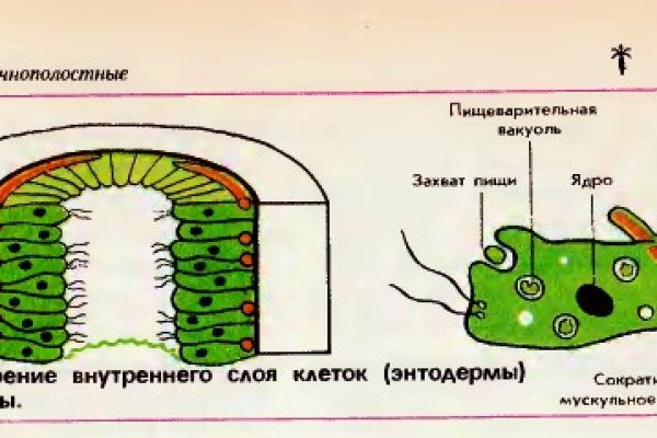 Кракен сайт даркнет зеркало