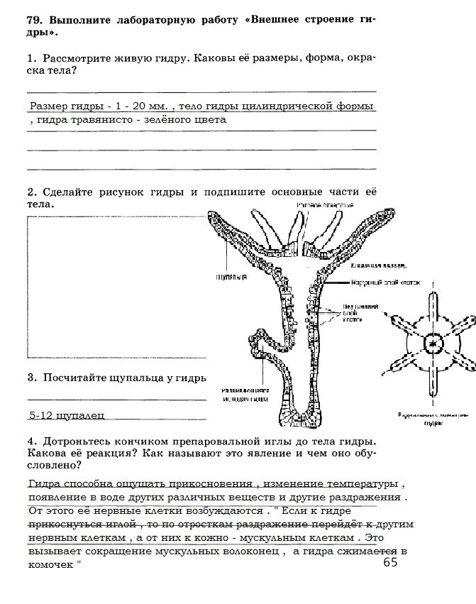 Кракен 12at сайт