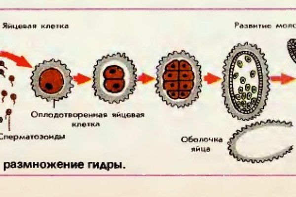 Новая ссылка на кракен