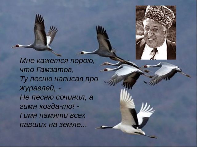 Вывести деньги с кракена